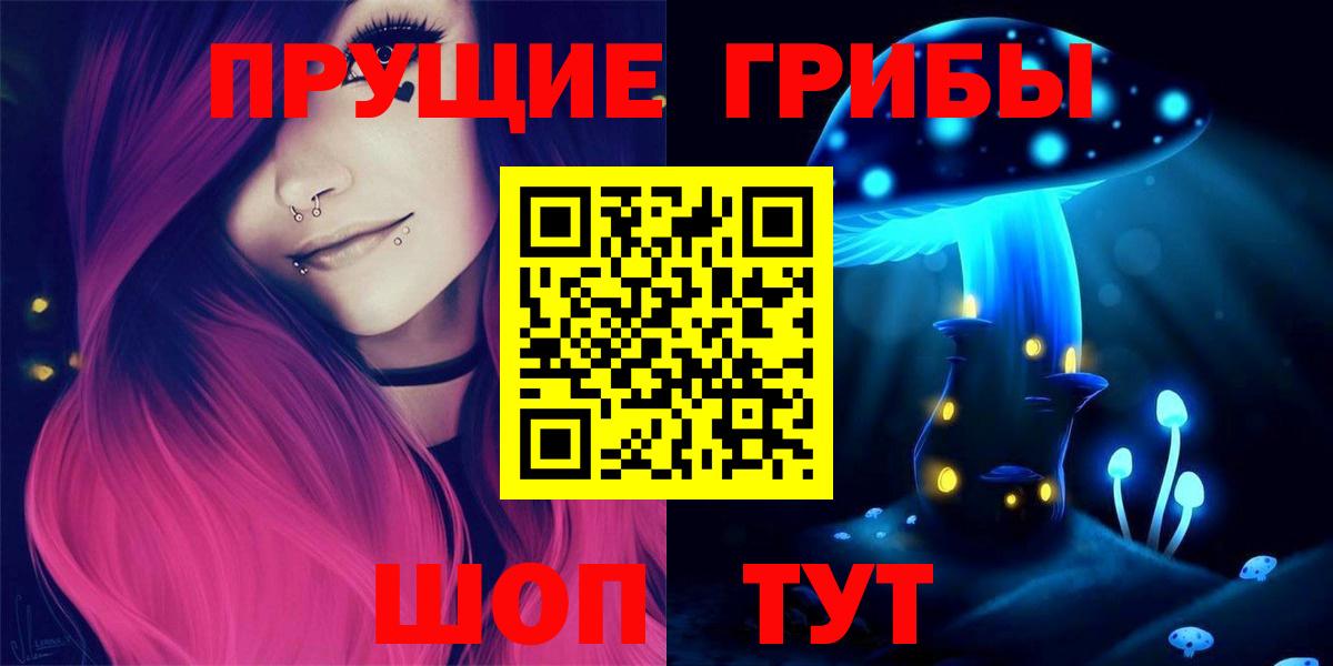 что такое наркотик  Вход с VPN  Камень-на-Оби  Псилоцибиновые грибы Psilocybe 